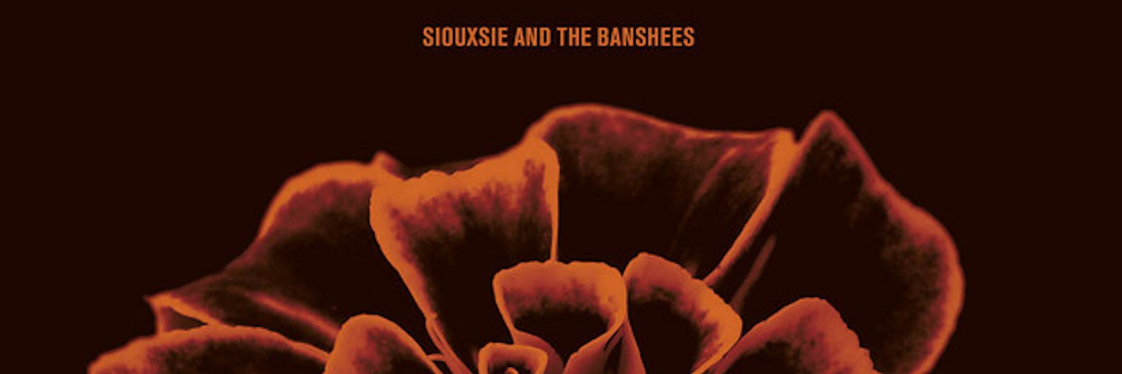 siouxsie and the banshees music | tunefind