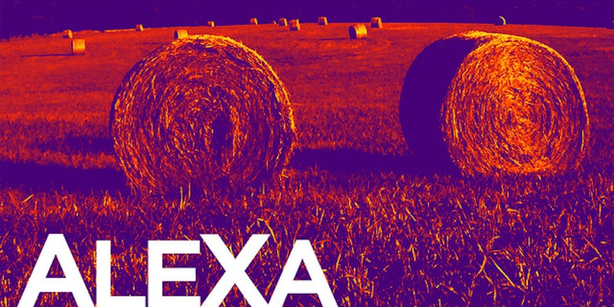 American Song Contest Music | Tunefind