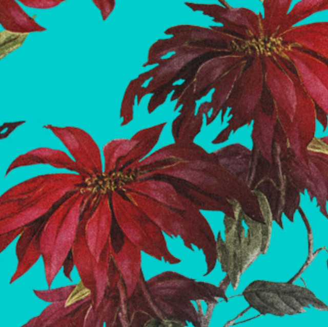 Best Night Ever Music Tunefind