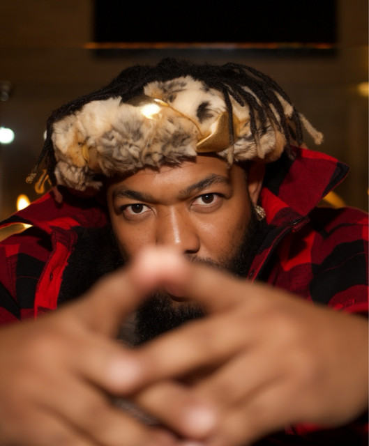 echo gorilla zoe video