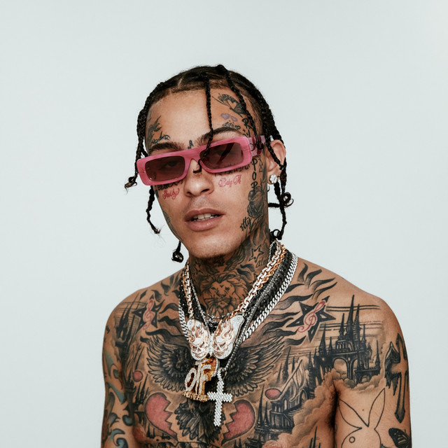 Featured image of post The Best 14 Lil Skies Pfp