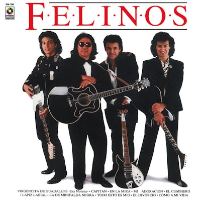 Los Felinos Music | Tunefind