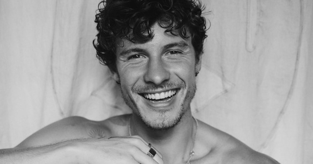 Shawn Mendes Music Tunefind