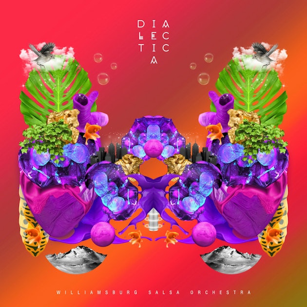 Williamsburg Salsa Orchestra Music Tunefind tunefind