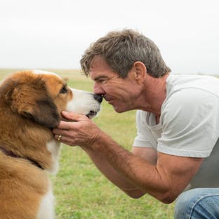 A Dog's Purpose (2017) Soundtrack