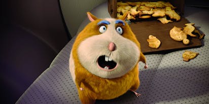 Animal Crackers Soundtrack Music - Complete Song List | Tunefind Animal Crackers Soundtrack Music - Complete Song List | Tunefind
