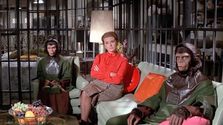 бегство с планеты обезьян. родди макдауэлл планета обезьян. бегство с планеты обезьян 1971. бегство с планеты обезьян 1971. бегство с планеты обезьян 1971.