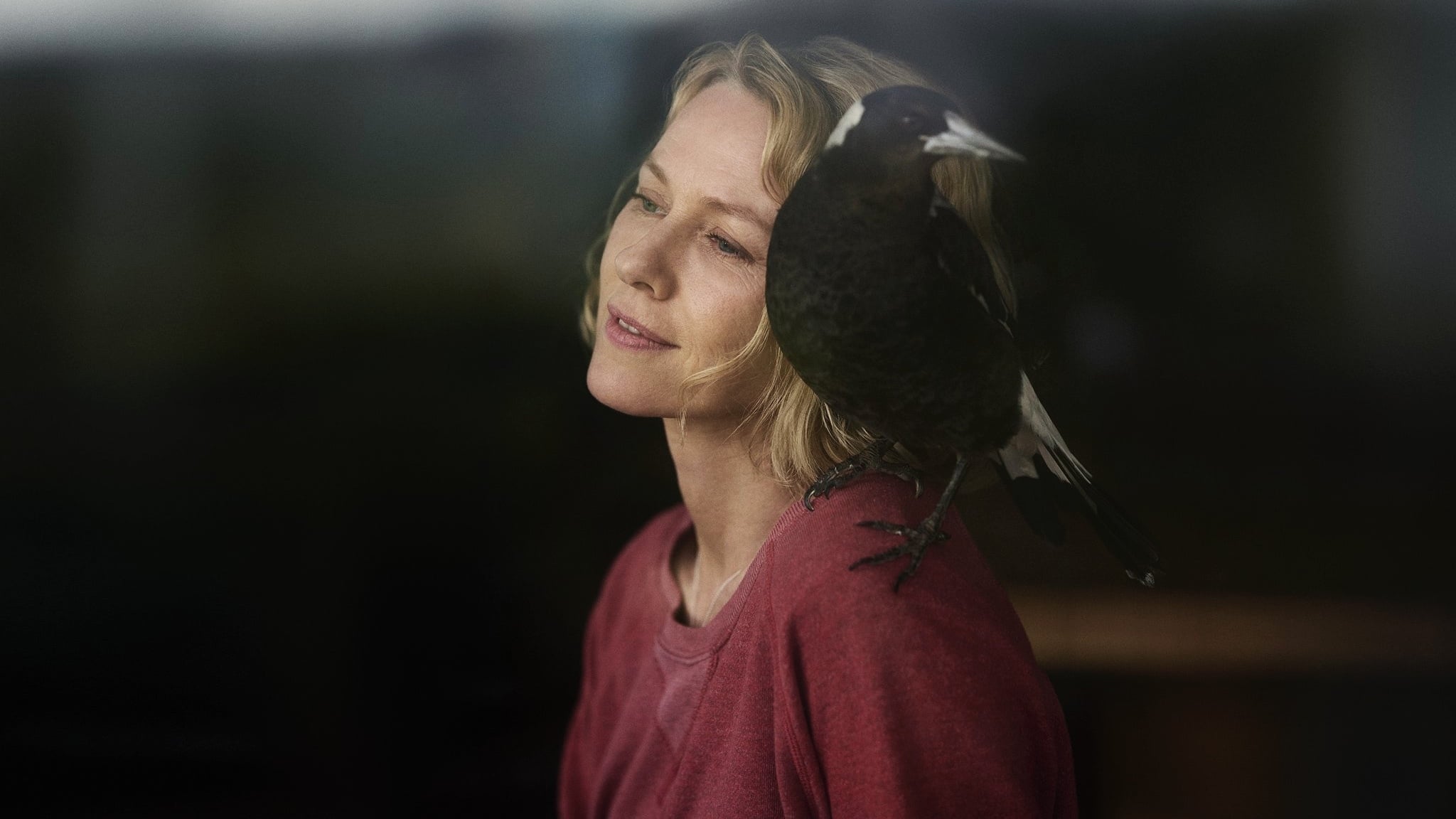 Penguin Bloom Soundtrack