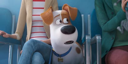 The Secret Life Of Pets 2 Snowball Panda Rap Song Official Sneak Peek New 2019 Animation Hd Youtube