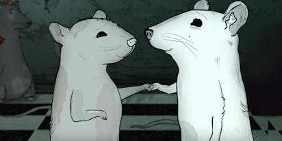 Fashion Rats Sewer Beauty Amazon 8 animals