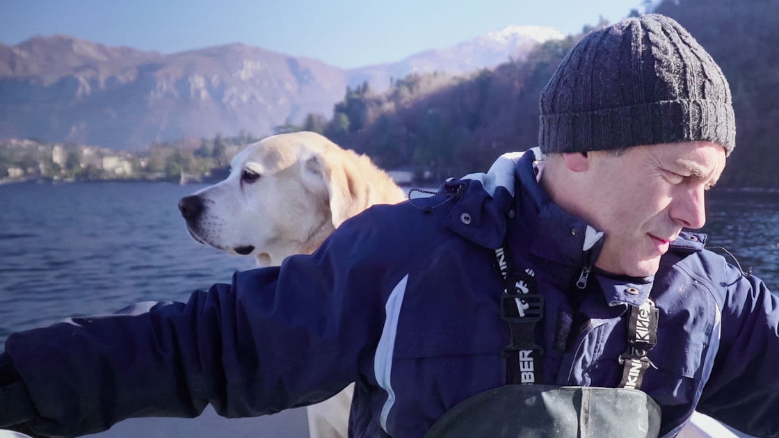 Dogs Season 1 Soundtrack Tunefind