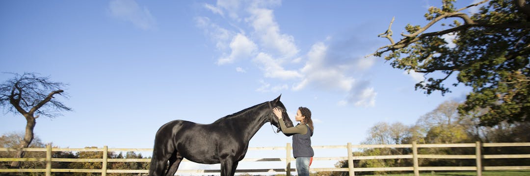 Free Rein Music Soundtrack - Complete Song List | Tunefind