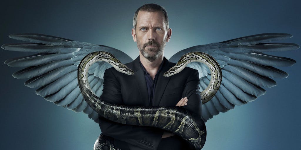 house md ile ilgili gÃ¶rsel sonucu