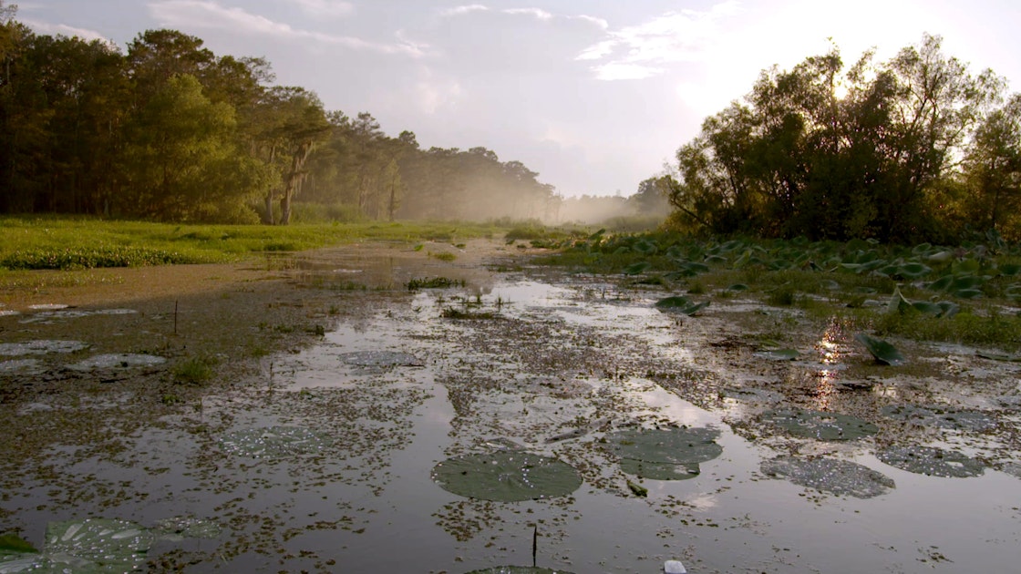 Killing Fields Soundtrack Complete Song List Tunefind