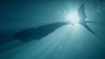 S2e4 Oil Water Siren Soundtrack Tunefind - mako mermaids roblox id